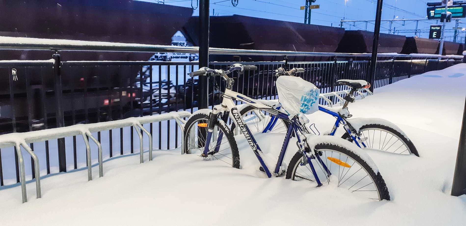 Fietse_21