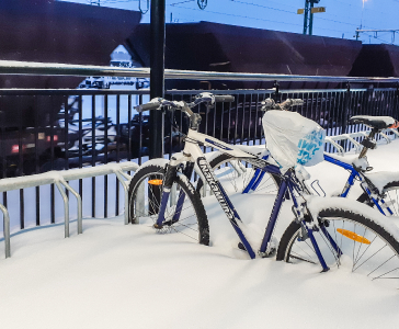 Fietse_21