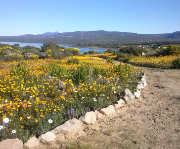 BlommeBerge_1